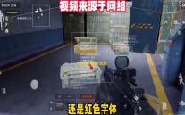 红松课堂安卓版