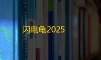 闪电龟2025